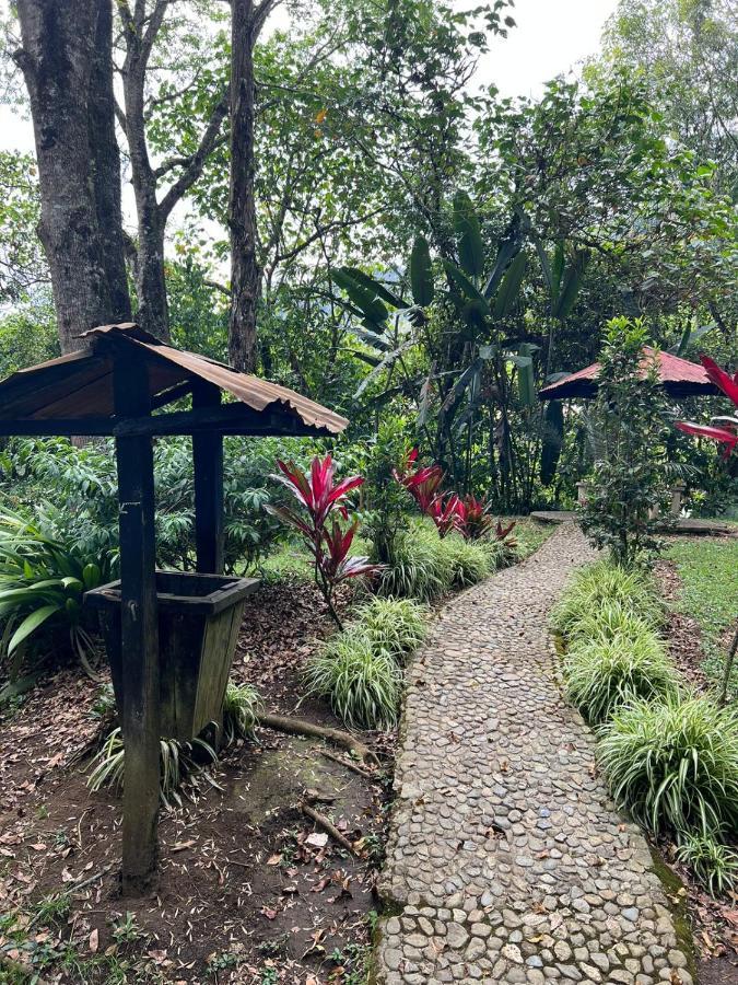 Spanglish Colombia Hotel Jericoc  Eksteriør billede